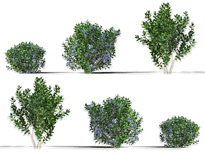 Various Decorative Garden Shrubs With Green Leaves And Blue Flowers In Different Shapes 3d model