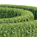 Well Trimmed Hedges With Columnar Shapes And Spiral Maze In Garden Design