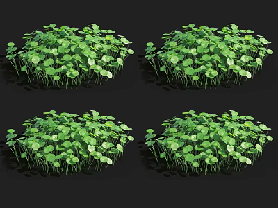 modern plants aquatic plants 3d model modern plants aquatic plants 3d model