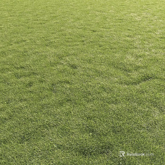 Green Grass Field With Decorative Ornament Display Set And Natural Background 3d model 