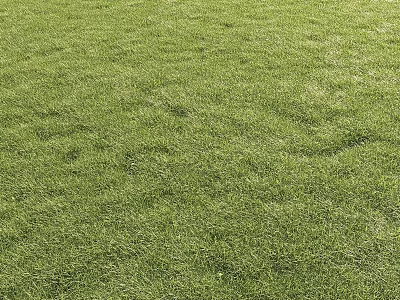 Green Grass Field With Decorative Ornament Display Set And Natural Background 3d model