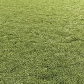 Green Grass Field With Decorative Ornament Display Set And Natural Background