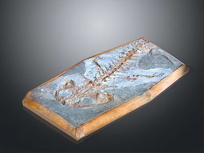 Prehistoric Animal Fossil Skeleton with Detailed Bones Preserved in Stone Slab 3d model