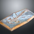 Prehistoric Animal Fossil Skeleton with Detailed Bones Preserved in Stone Slab