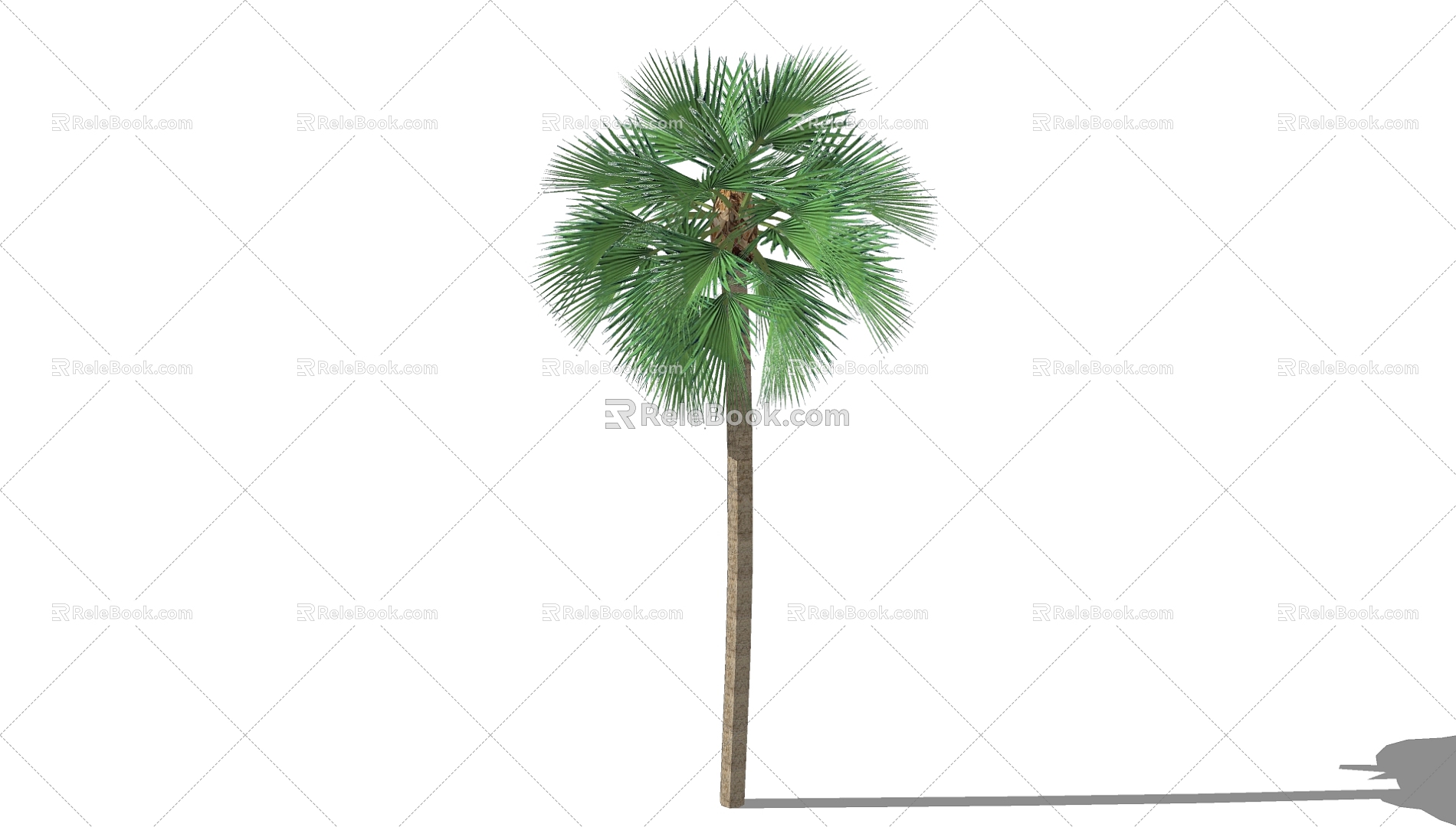 Palm Tree 3d model