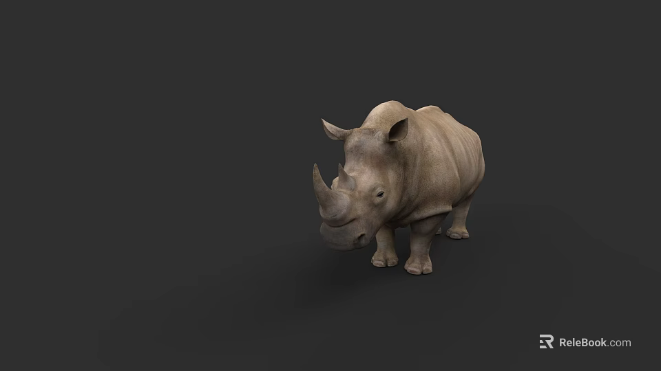 Realistic Rhinoceros 3D Model With Gray Skin And Horns On Black Background 3d model 