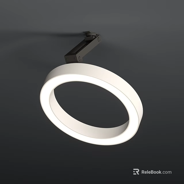 Modern White Circular Ring Shaped Ceiling Light With Sleek Minimalist Design For Indoor Spaces 3d model 