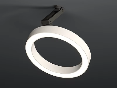 Modern White Circular Ring Shaped Ceiling Light With Sleek Minimalist Design For Indoor Spaces 3d model