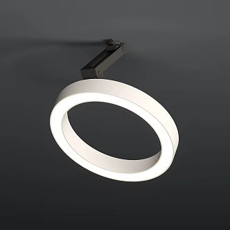Modern Ceiling Lights Round Lighting Modern Lights Ceiling Llama 3d model