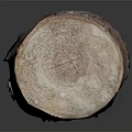 Natural Rustic Wood Log Showcasing Authentic Bark Texture And Cylindrical Shape