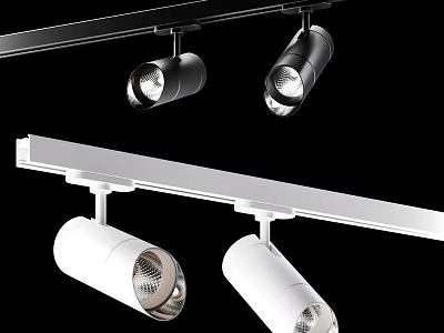 Modern Track Mounted Black And White Downlights and Spotlights for Interior Lighting Design 3d model