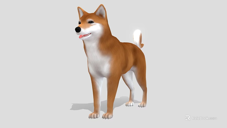 Realistic 3D Model Of Shiba Inu Dog With Brown White Coat Standing 3d model 