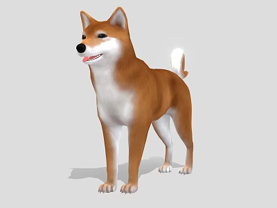 Realistic 3D Model Of Shiba Inu Dog With Brown White Coat Standing 3d model