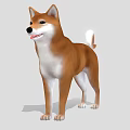 Realistic 3D Model Of Shiba Inu Dog With Brown White Coat Standing