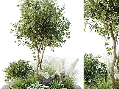 Roadside Facilities With Lush Trees Shrubs And Natural Green Landscape Elements 3d model
