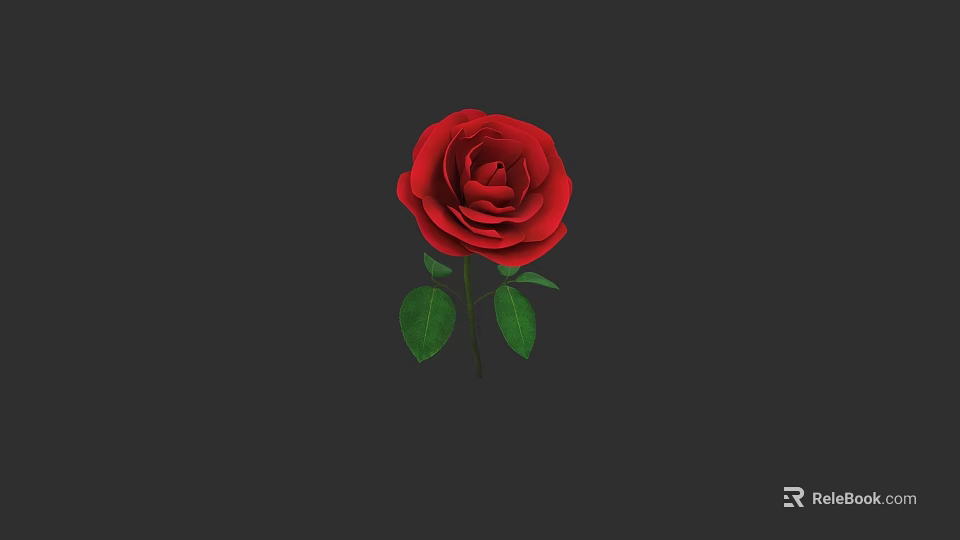Beautiful Blooming Red Rose With Green Leaves On Dark Background 3d model 