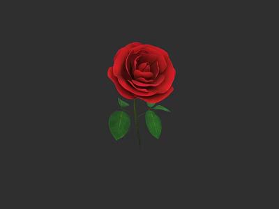 Beautiful Blooming Red Rose With Green Leaves On Dark Background 3d model