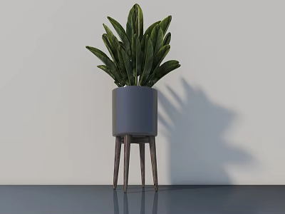 Indoor Bonsai Plant In Gray Pot With Wooden Stand And Green Leaves 3d model