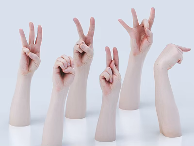 Human Hands And Arms Displaying Different Gestures Including Peace Signs And Pointing 3d model