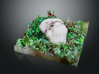 Fresh Green Vegetable Leaves Arranged On Transparent Base With Small Plants 3d model