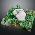 Fresh Green Vegetable Leaves Arranged On Transparent Base With Small Plants