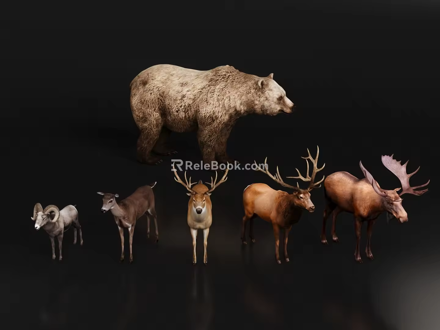 Wild Animal Bear Goat Deer 3d model
