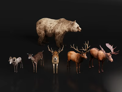 Wild Animal Bear Goat Deer 3d model