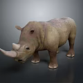 Realistic Rhinoceros 3D Model With Single Horn And Grayish Brown Skin Standing Pose