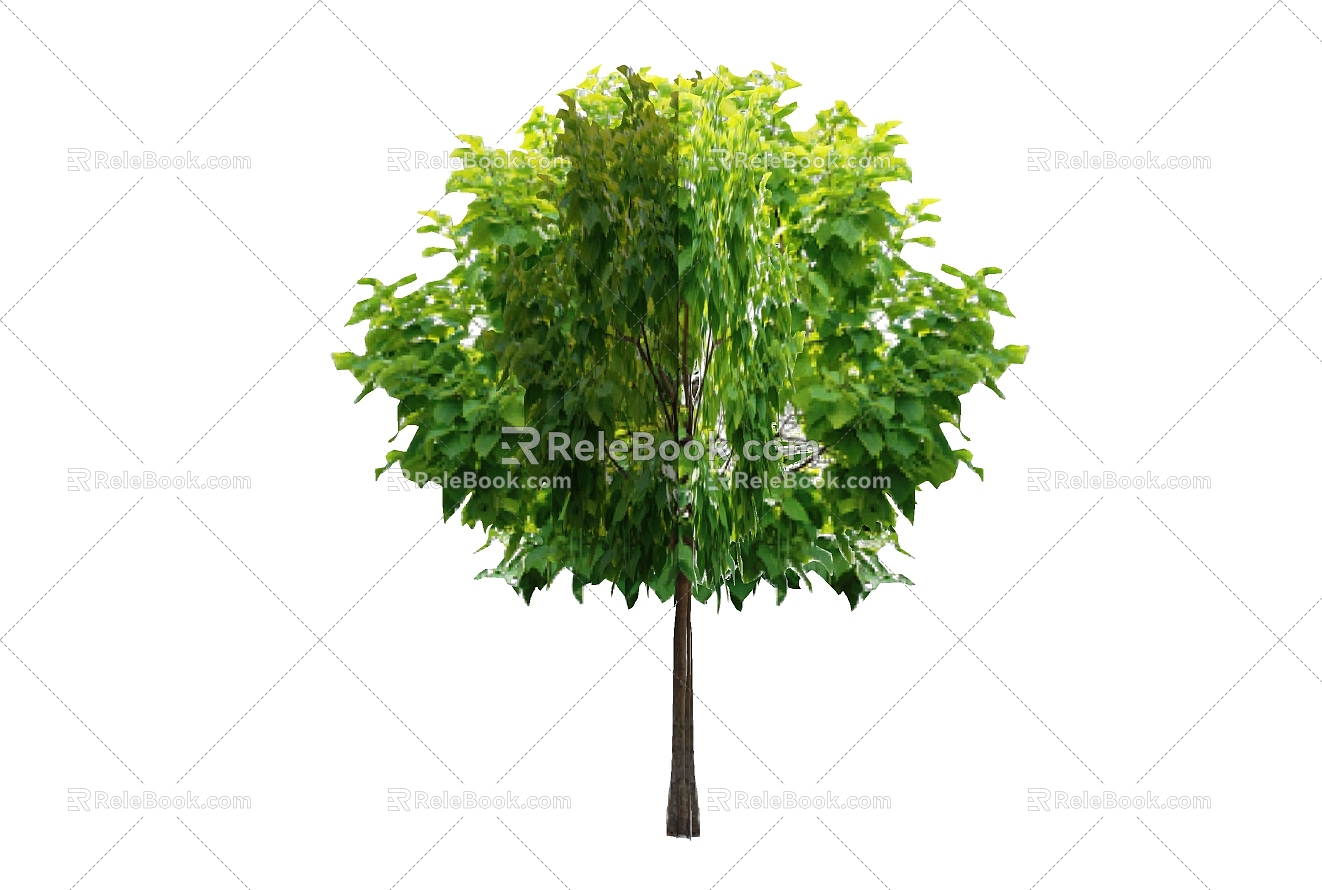 Tree 3d model