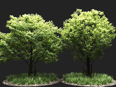 Lush Green Trees With Dense Foliage Surrounded By Grass And Pebbles 3d model
