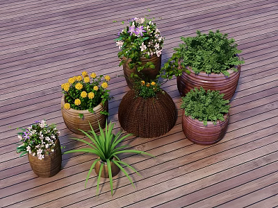 Colorful Potted Bonsai Plants With Various Flowers In Ceramic And Woven Pots On Wooden Floor 3d model