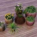 Colorful Potted Bonsai Plants With Various Flowers In Ceramic And Woven Pots On Wooden Floor