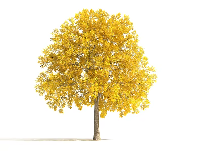 Lush Arbor Tree With Golden Yellow Leaves And Brown Trunk In Autumn 3d model