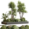 Urban Roadside Green Facilities With Planter Box Trees Shrubs And Green Plants