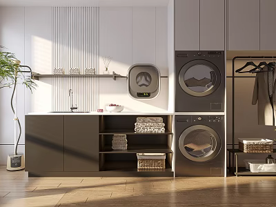 Modern Laundry Room Interior Design With Washing Machine Dryer Gray Cabinets And Green Plant 3d model