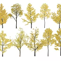 Golden Leaf Trees With Various Shapes And Autumn Foliage Collection