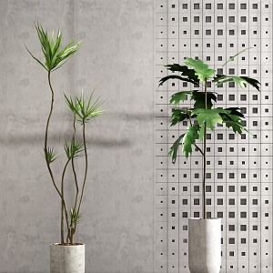 Modern potted plants 3d model