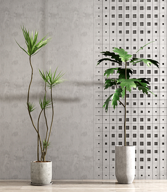 Modern potted plants 3d model