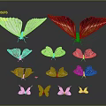 Modern Butterfly Various Butterfly Set Colored Butterfly 3d model