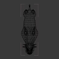 Reptile with Rough Scaly Skin Standing Isolated on Gray Background 3d model