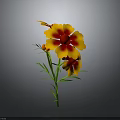 Vibrant Yellow and Red Flower with Green Stems and Leaves Against Gray Background
