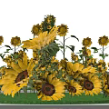 Vibrant Event Entrance Decorated With Colorful Sunflowers And Green Foliage