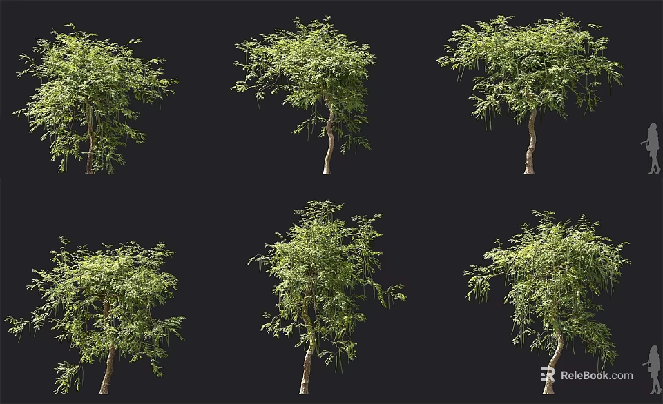 Various Arbor Trees With Lush Green Foliage And Different Growth Forms 3d model