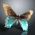 Butterfly with Brown and Teal Iridescent Spread Wings on Dark Background