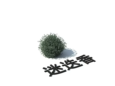 Modern Rosemary Landscape Plant Rosemary 3d model Modern Rosemary Landscape Plant Rosemary 3d model
