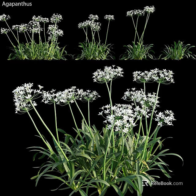 Decorative Ornament Set with White Flowers and Green Leaves for Home Decor 3d model 
