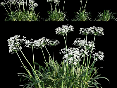 Decorative Ornament Set with White Flowers and Green Leaves for Home Decor 3d model
