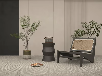 Modern Dark Leisure Chair With Woven Backrest Green Plants Vintage Radio Side Table And Tray 3d model