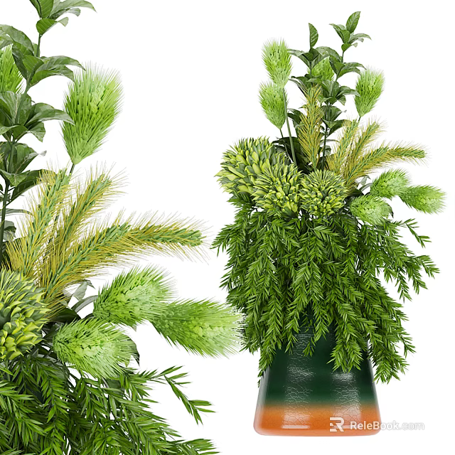 Bonsai Potted Plant With Lush Green Foliage And Various Leaf Shapes 3d model 