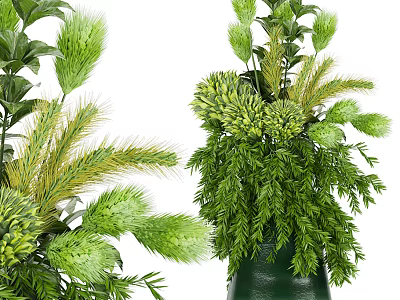 Bonsai Potted Plant With Lush Green Foliage And Various Leaf Shapes 3d model